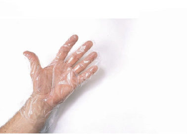 Das luvas cirúrgicas da mão do ODM do OEM látex transparente biodegradável da borracha natural  fornecedor