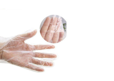 Das luvas cirúrgicas da mão do ODM do OEM látex transparente biodegradável da borracha natural  fornecedor